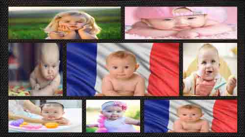 Seals - Ezdoss Photo collage Template